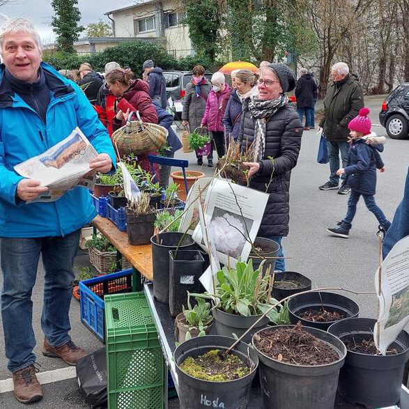 1. Pflanzenflohmarkt in Lengerich