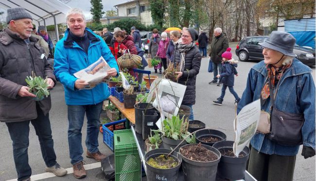 1. Pflanzenflohmarkt in Lengerich
