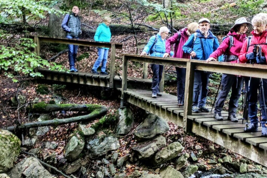 Auf schmalen Pfaden durch den Naturpark Eifel Auf schmalen Pfaden durch den Naturpark Eifel