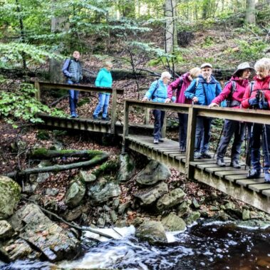Auf schmalen Pfaden durch den Naturpark Eifel