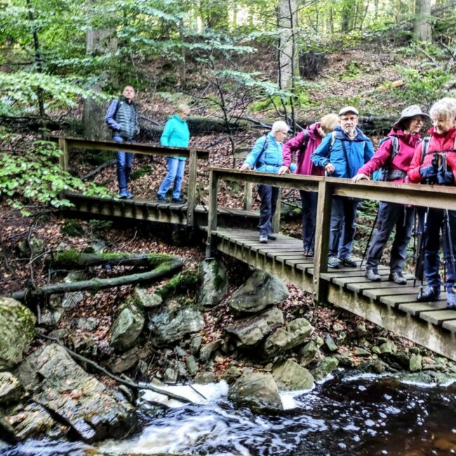 Auf schmalen Pfaden durch den Naturpark Eifel
