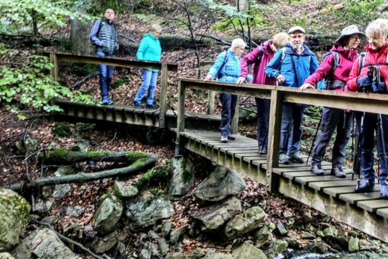 Auf schmalen Pfaden durch den Naturpark Eifel