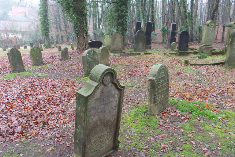 Der Jüdische Friedhof Lengerich Halbtotale