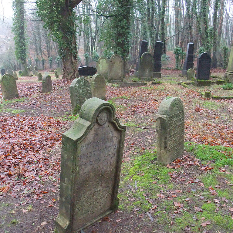 Der Jüdische Friedhof Lengerich Halbtotale