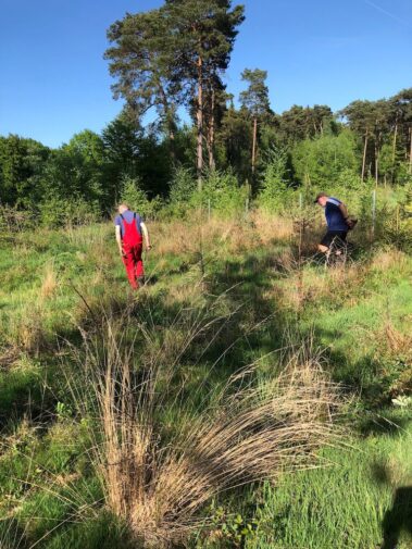 Maibaumfest 2025 Birken Holen