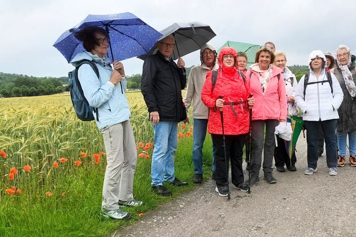 Wandergruppe 14.06.2026 04